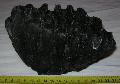 Mammuthus meridionalis fog Mammoth tooth Lh: Kavicsbnya Gy: 2014. februr. (141)